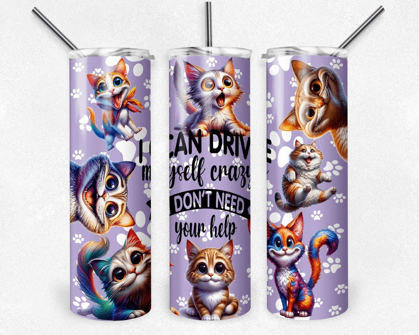 I Can Drive Myself Crazy I Dont Need Your Help |Skinny Tumbler 20oz